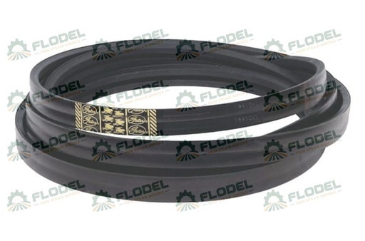 [FLO05582] Curea combina CLAAS 554017 GATES