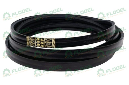 [FLO05582] Curea combina CLAAS 554017 GATES