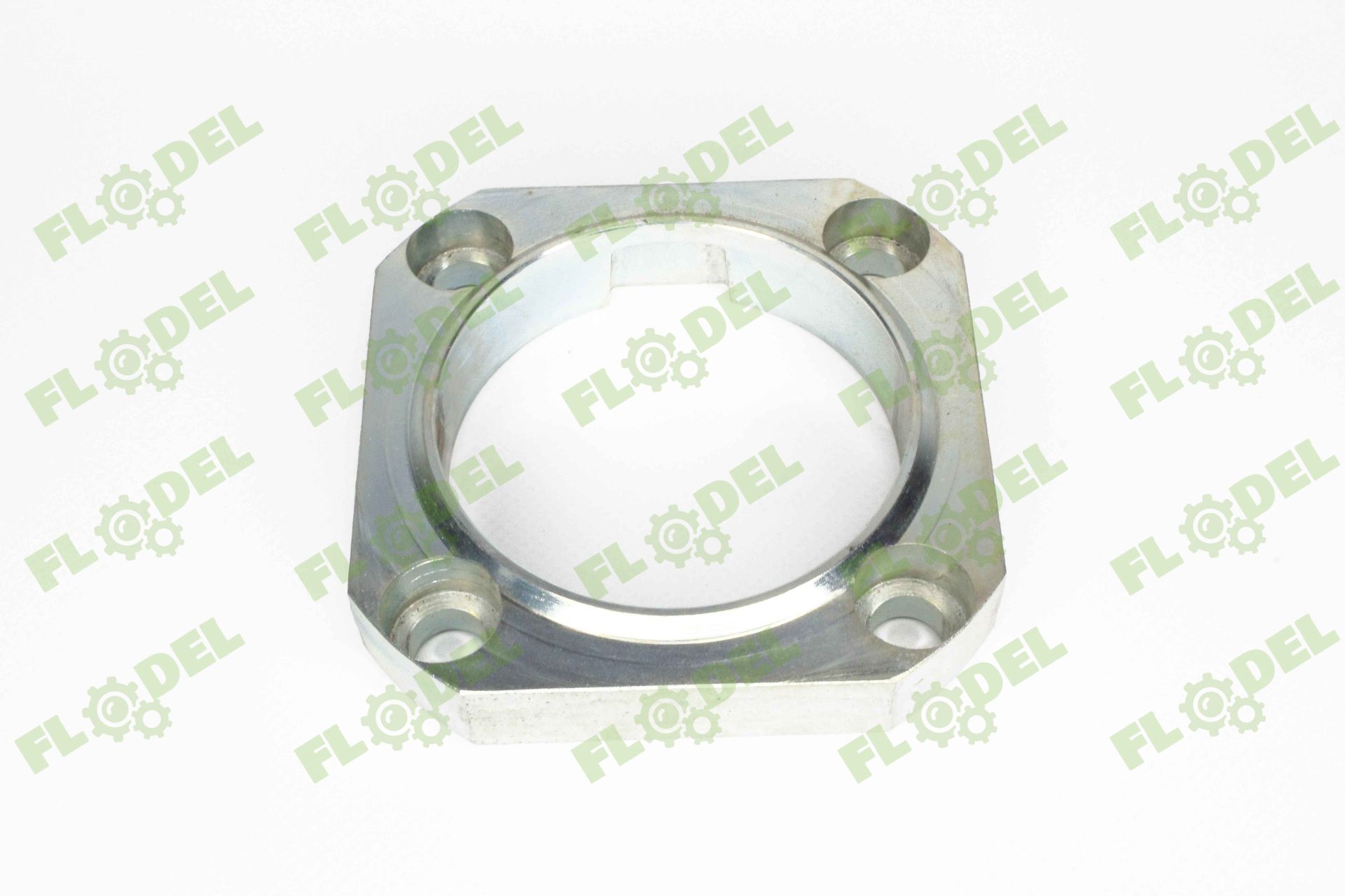 [FLO06003] Carcasa rulment 01.0300.00 Capello