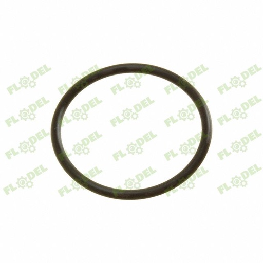 [FLO06079] Oring  CASE IH 84364093 Original CNH