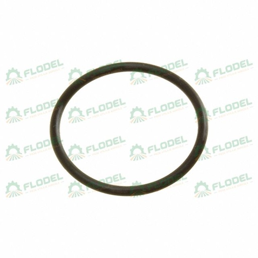 [FLO06079] Oring  CASE IH 84364093 Original CNH