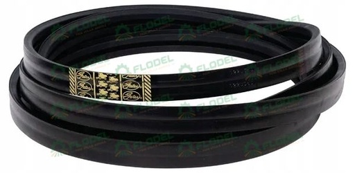 [FLO06118] Curea combina CLAAS 077276 GATES