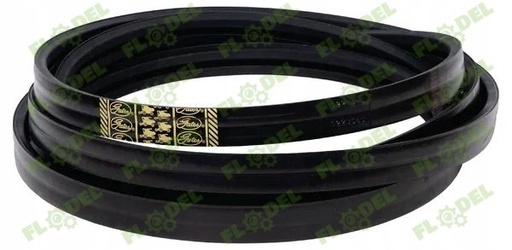 [FLO06118] Curea combina CLAAS 077276 GATES