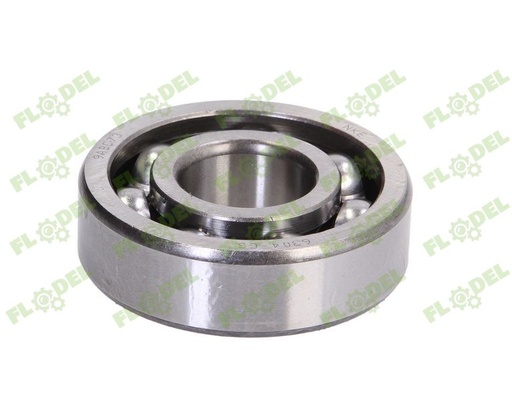 [FLO06231] Rulment 6304-C3 NKE