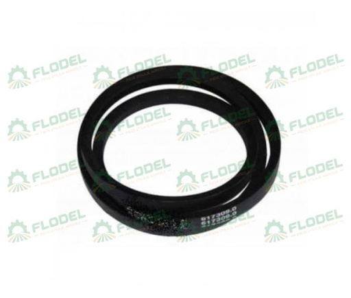 [FLO06255] Curea AGROBELT 617309