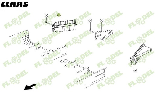 [FLO06275] Sita ghidare