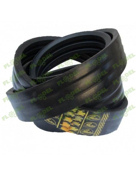 [FLO06410] Curea combina siloz CLAAS JAGUAR 984885 GATES