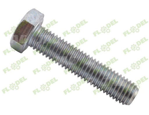 [FLO06419] Surub M12 x 55 070403