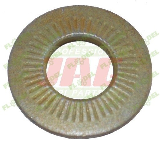 [FLO06420] Saiba surub M12 215006