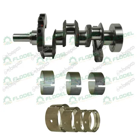 [FLO06890] Kit arbore motor tractor Massey Ferguson 3641825M91