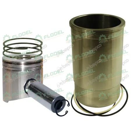 [FLO07030] Set motor John Deere RE15597 BEPCO
