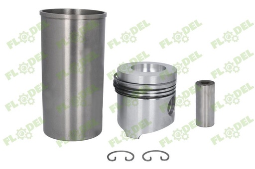 [FLO07031] Set motor tractor FENDT F158200310010 KOLBENSCHMIDT