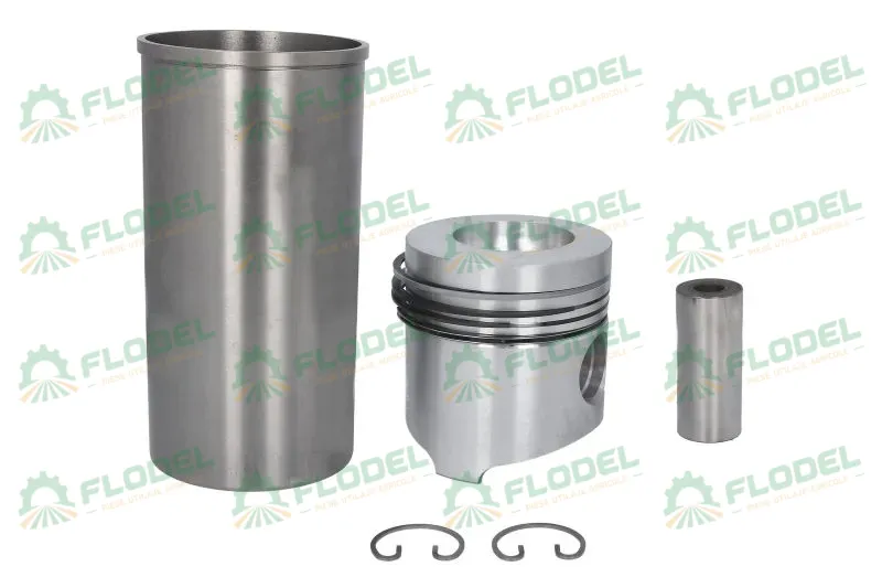[FLO07031] Set motor tractor FENDT F158200310010 KOLBENSCHMIDT