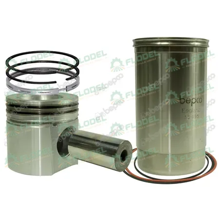 [FLO07033] Set motor John Deere RE64509 BEPCO