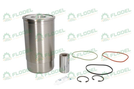 [FLO07036] Set motor tractor John Deere RE505112 KOLBENSCHMIDT