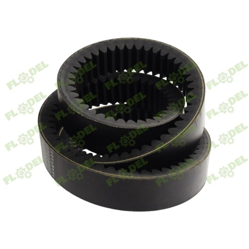 [FLO07042] Curea variator combina FENDT LAVERDA LA340435155 GATES