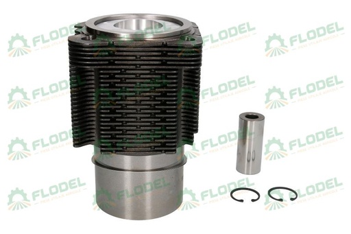 [FLO07056] Set motor tractor DEUTZ 02922609 KOLBENSCHMIDT