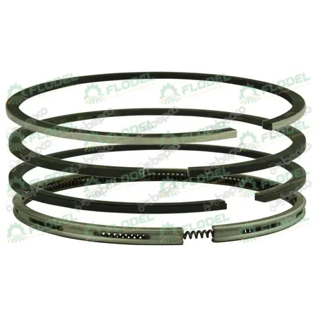 [FLO07272] Segmenti standard motor tractor SAME 005400526