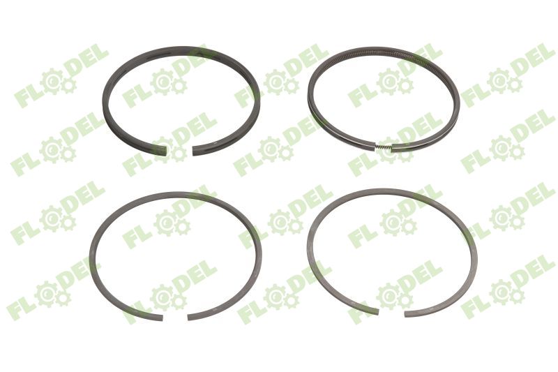 [FLO07285] Segmenti motor combina CLAAS 745747M91 GOETZE