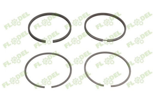 [FLO07285] Segmenti motor combina CLAAS 745747M91 GOETZE