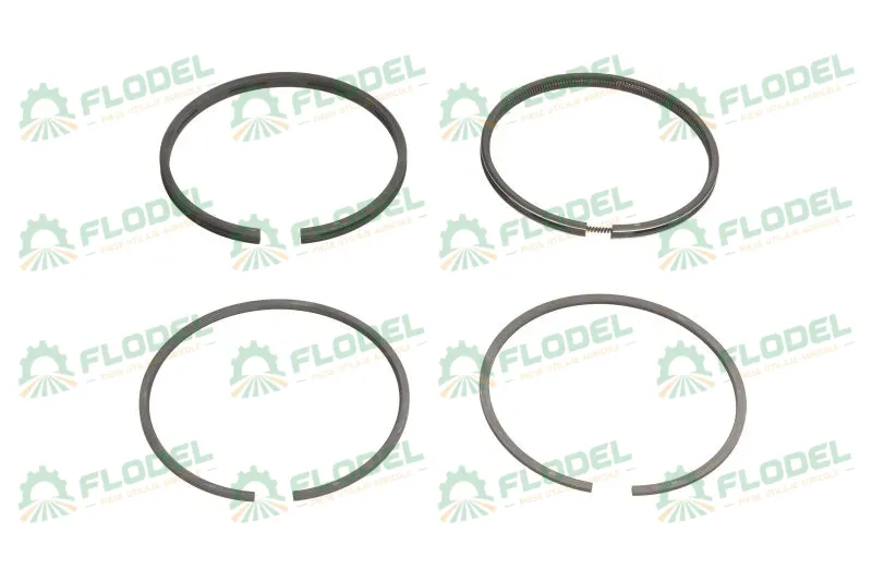 [FLO07286] Segmenti motor tractor Massey Ferguson 745760M91 GOETZE