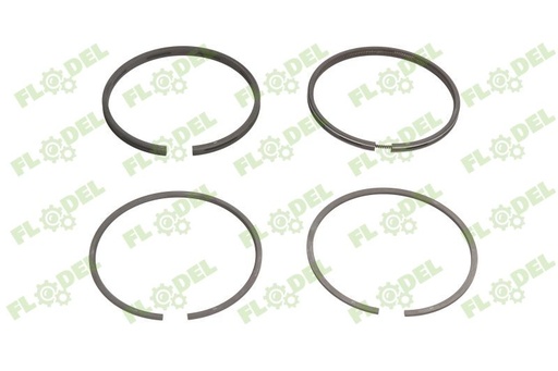 [FLO07286] Segmenti motor tractor Massey Ferguson 745760M91 GOETZE