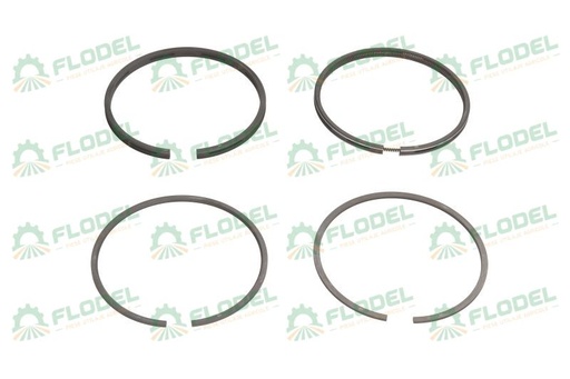 [FLO07286] Segmenti motor tractor Massey Ferguson 745760M91 GOETZE