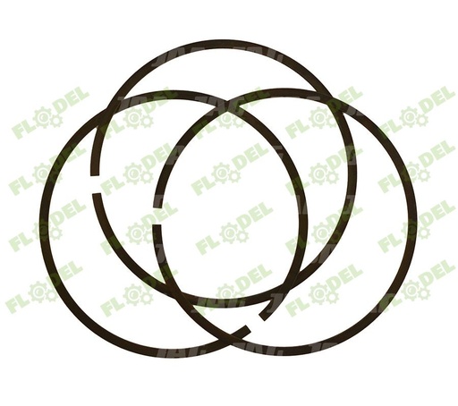 [FLO07730] Set inel etansare fuzeta combina CLAAS 673428 Original CLAAS