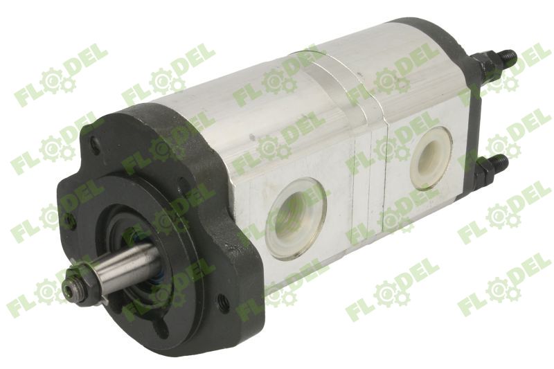 [FLO07888] Pompa hidraulica JOHN DEERE RE197623