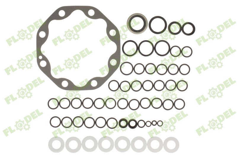 [FLO07906] Set garnituri pompa hidraulica JOHN DEERE AR39156