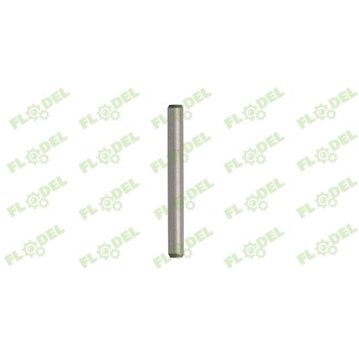 [FLO07917] Stift carcasa diferential FIAT 5173242