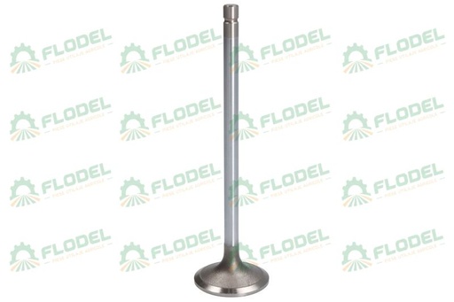[FLO07958] Supapa admisie JOHN DEERE RE531221