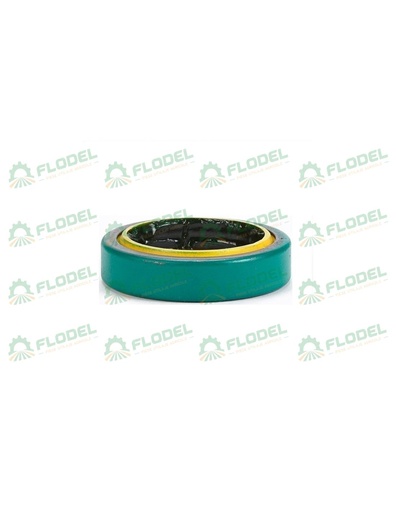 [FLO08068] Simering planetara fata CASE IH 128647A1