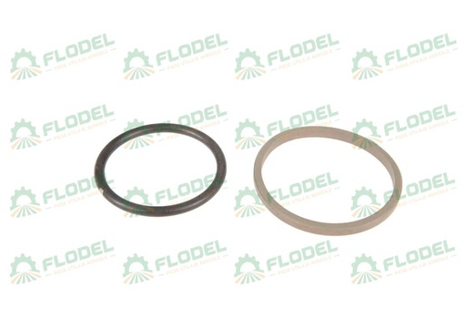 [FLO08133] Garnitura cilindru hidraulic CLAAS 212029