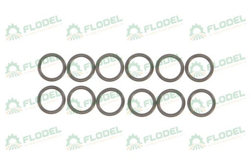 [FLO08140] Set garnituri supape motor DEUTZ 01153857