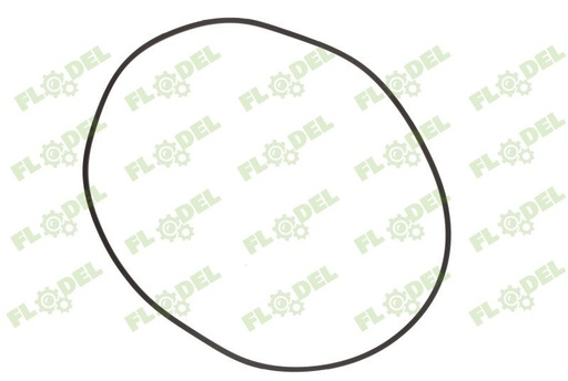 [FLO08256] Inel piston frana FIAT 4993838