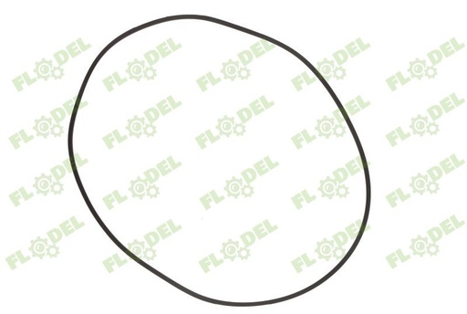 [FLO08256] Inel piston frana FIAT 4993838