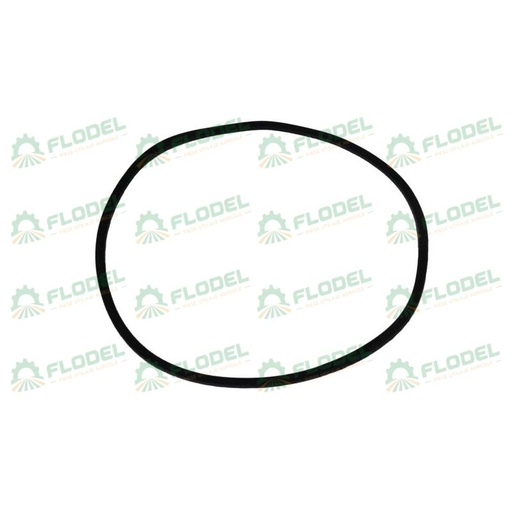 [FLO08288] Oring CASE IH 402571R1