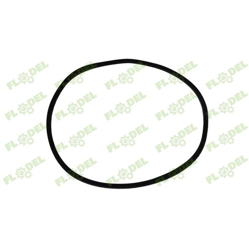 [FLO08288] Oring CASE IH 402571R1