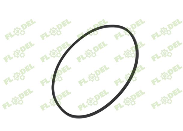 [FLO08289] Oring CASE IH 401724R1