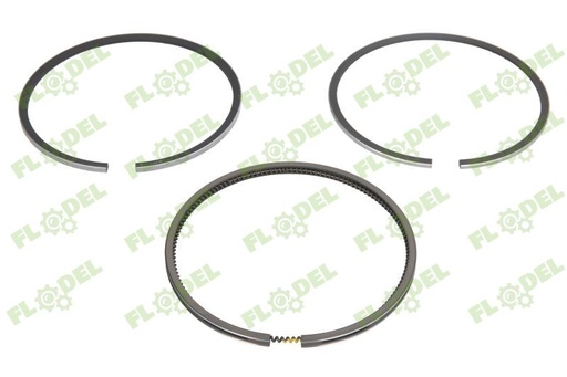 [FLO08321] Set segmenti motor CASE IH 3139594R91 GOETZE