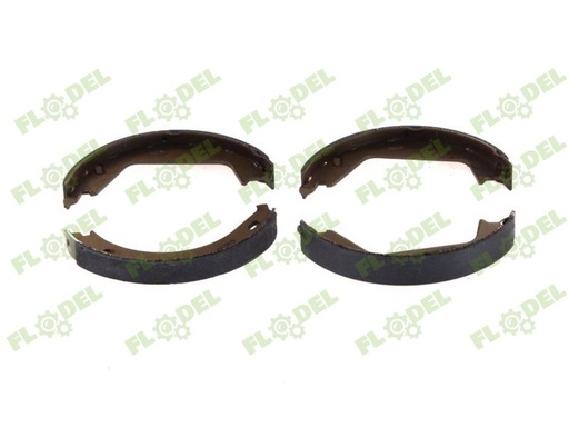 [FLO08395] Saboti frana LPR08260