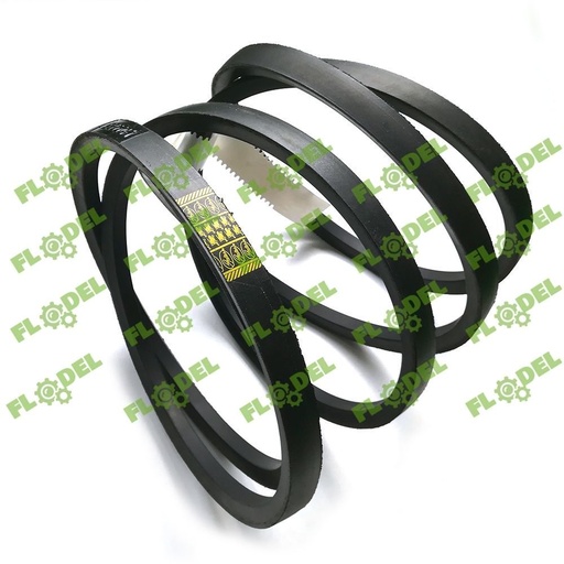 [FLO08460] Curea combina CLAAS 661378 GATES