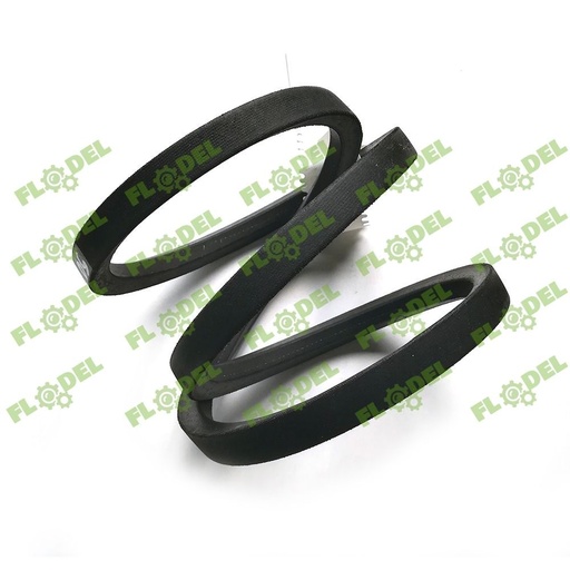 [FLO08462] Curea combina CLAAS 706087 GATES