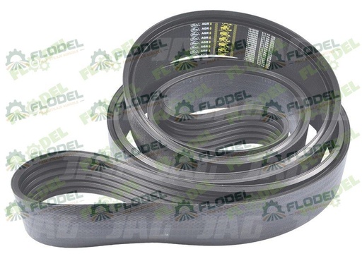 [FLO08519] Curea principala CLAAS JAGUAR 5HB 067450 GATES