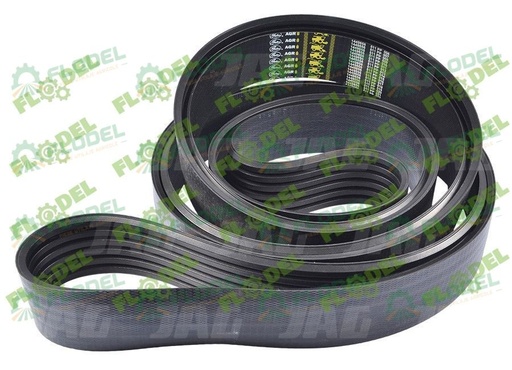 [FLO08542] Curea principala CLAAS JAGUAR 6HB 067746 GATES