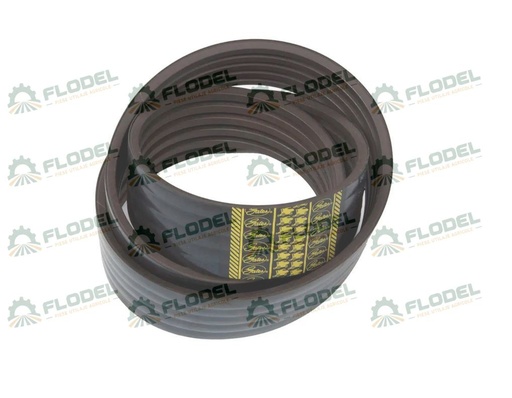 [FLO08553] Curea combina CLAAS 644403 [5HB] GATES