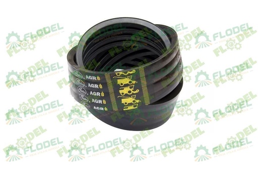 [FLO08555] Curea combina CLAAS 544164 [4HB] GATES