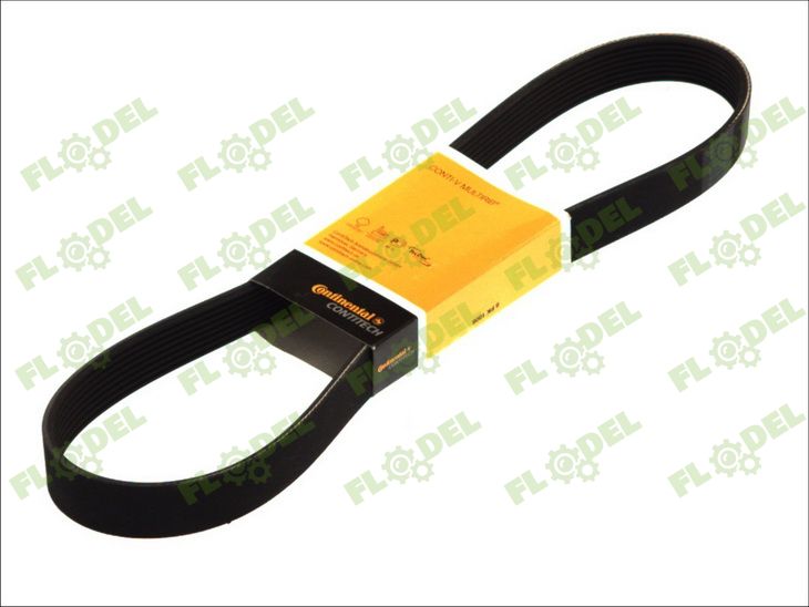[FLO08569] Curea accesorii 8PK FENDT F731200040010 CONTINENTAL