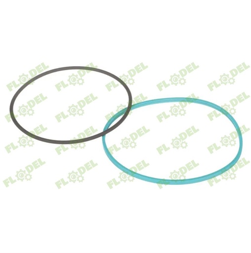 [FLO08695] Oring transmisie CASE IH 5162398